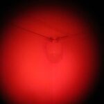 WEGA-i - зображення #465