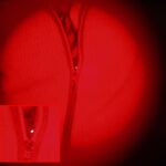 WEGA-i - зображення #462